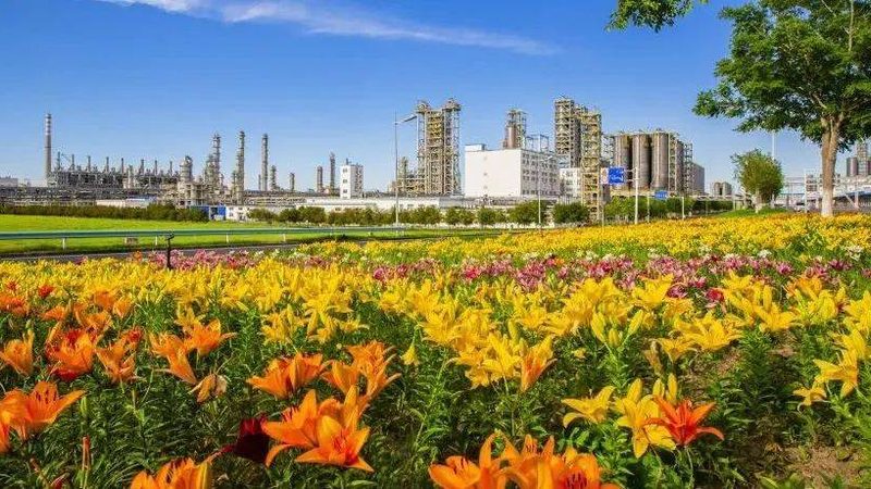 化工消泡剂：揭秘定制化生产背后的关键因素